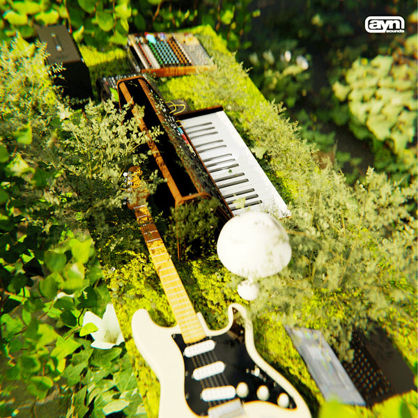 Synth Mania Vol. 2 – AYN Sounds